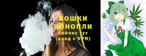apvp Няндома