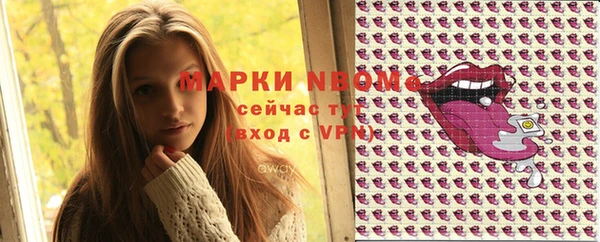 шишки Канск