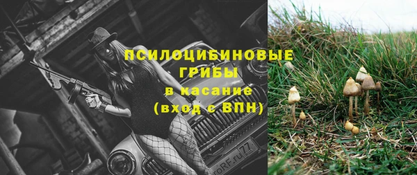apvp Няндома