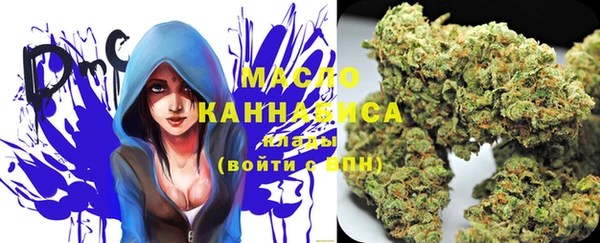 apvp Няндома