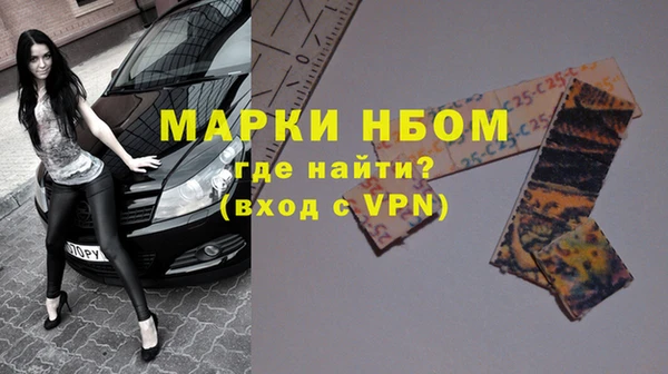 apvp Няндома