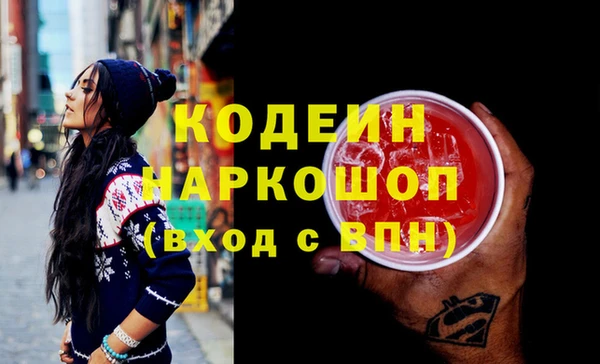 apvp Няндома