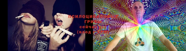 apvp Няндома