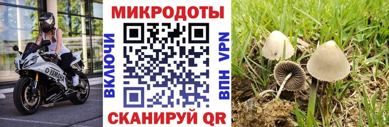 Псилоцибиновые грибы мухоморы  кракен как войти  Сердобск 
