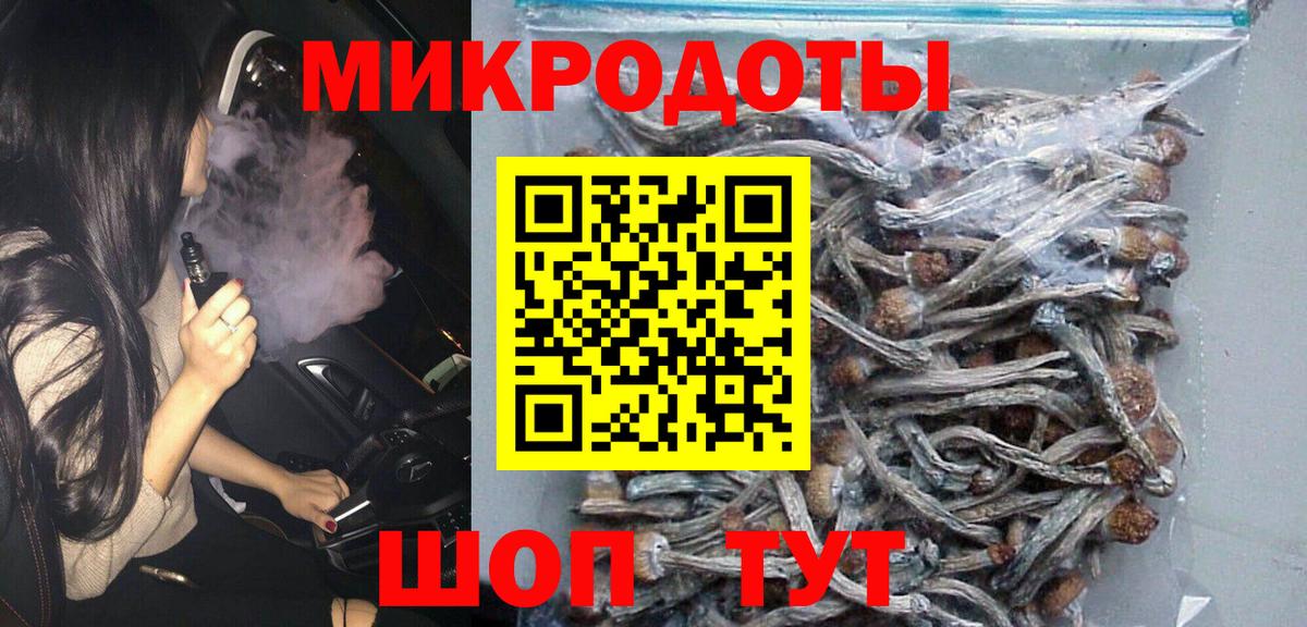 Галлюциногенные грибы Psilocybine cubensis  Псилоцибиновые грибы GOLDEN TEACHER  Сердобск 