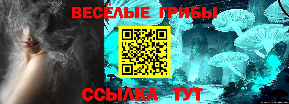 Галлюциногенные грибы мухоморы Сердобск