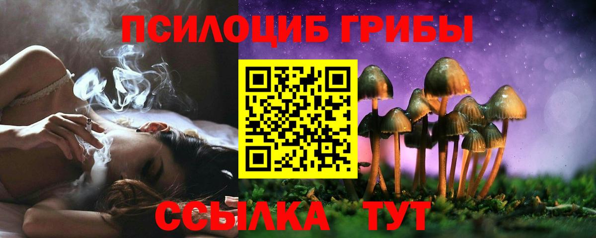 Сердобск  Псилоцибиновые грибы MAGIC MUSHROOMS  Вход с VPN 